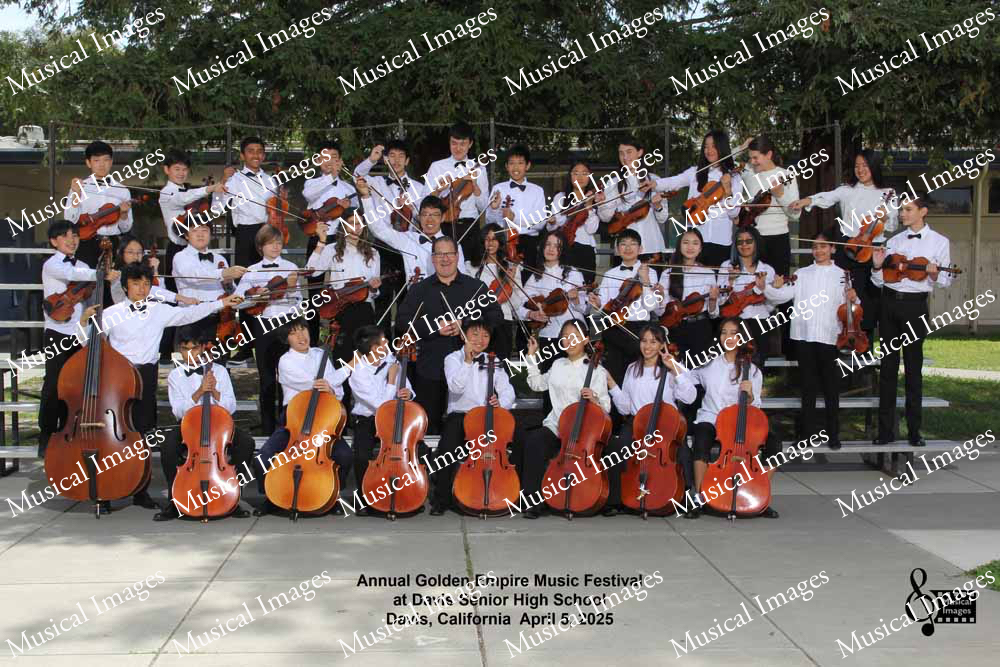 Musical Images